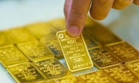 Giá vàng hôm nay 13/2: Vàng SJC, vàng nhẫn lao dốc mạnh, cảnh báo rủi ro điều chỉnh sâu