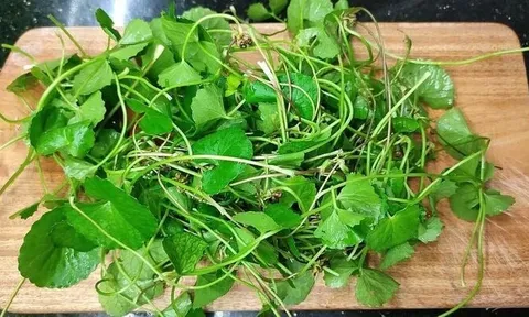 5 loại rau lọc thận khoẻ gan, chợ Việt bán nhiều