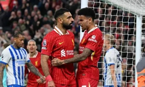 Slot buộc phải thắng Brighton để cứu mùa giải Liverpool