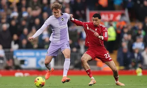 Zamora cảnh báo Liverpool về cú sốc từ Brighton