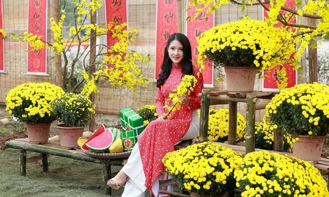 Hoa cúc mâm xôi là biểu tượng của sự sum vầy, tràn đầy niềm vui và may mắn trong năm mới