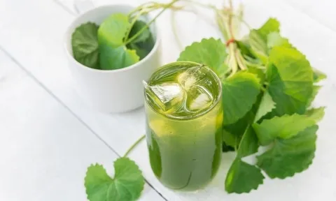 Tết này ăn uống 'thả ga' mà không sợ tăng cân nhờ 4 loại thức uống này