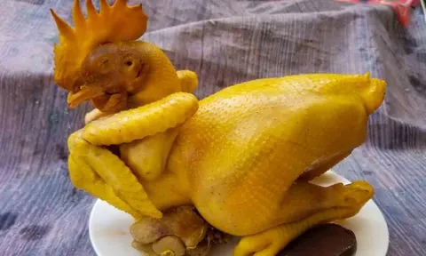 Cách luộc gà cúng đẹp mặt vừa vàng da vừa thơm ngon, không bị đỏ thịt