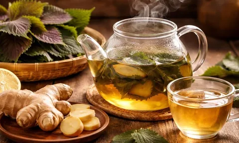 Ngày Tết uống nước lá tía tô thêm gừng: Công dụng bất ngờ