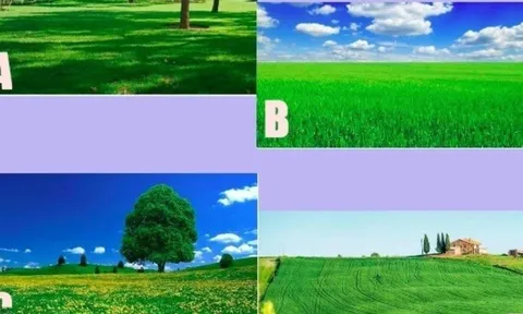 Trắc nghiệm vui: Khoảng thời gian nghỉ Tết của bạn sẽ diễn ra thế nào?