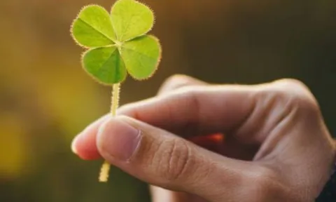 Đầu năm gieo phúc đón lộc: 3 con giáp chăm làm việc thiện, tài vận càng khởi sắc