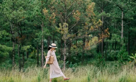 5 dấu hiệu cho thấy tâm bạn bình an, bạn tỏa ra năng lượng bình tĩnh, khiến ai cũng muốn ở gần bạn