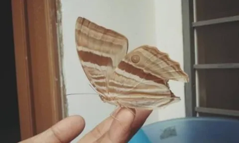 Bàn thờ có 5 dấu hiệu này là điềm đại cát: Tổ tiên phù hộ, gia chủ sắp đón tin vui lớn