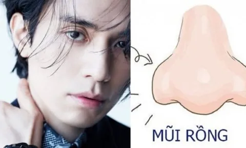 4 tướng mũi của người đa tài già có