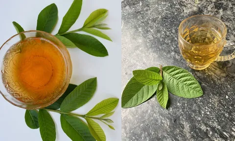 Cách uống nước lá ổi giúp eo thon, tiêu mỡ bụng, giảm cân