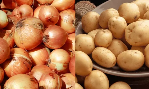Vì sao không được để khoai tây chung với hành tây?
