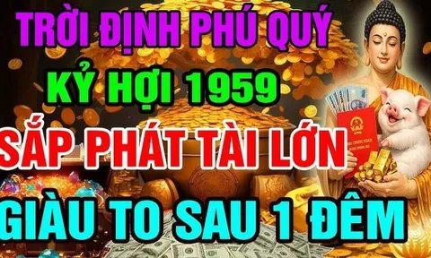 Số Trời định phải giàu, 3 tuổi vứt đâu cũng sống, sau 35 tiền tỷ đếm mỏi tay