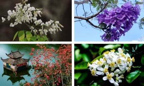 Trắc nghiệm: Món quà bất ngờ tháng 3 bạn sắp nhận được là gì?