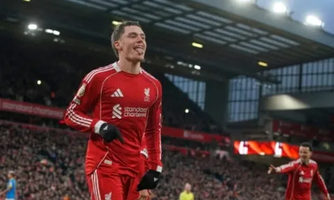 Wirtz vắng mặt nhưng Liverpool đón tin vui từ Frimpong