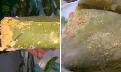 Bánh chưng bị mốc một góc, cắt đi ăn tiếp có hại gì không?