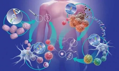 Có 3 căn bệnh phổ biến của người già quyết định đến tuổi thọ của họ