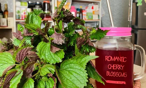 Mẹo làm mờ thâm nám, trắng da bằng lá tía tô