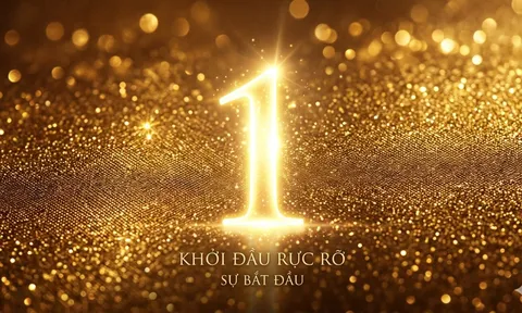 Thần số học 2026: 3 số đường đời bứt phá sự nghiệp, tài chính khi bước vào năm năng lượng 1