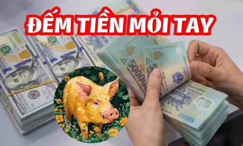 Từ ngày mai: 3 con giáp này Tiền Đẻ Ra Tiền, đếm tiền mỏi tay