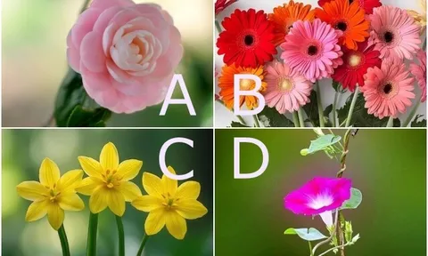 Trắc nghiệm: Trong mắt người bạn đời, bạn là kiểu phụ nữ như thế nào? Chọn một bông hoa để biết