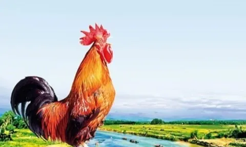 Tỉnh nào một con gà gáy cả ba nước cùng nghe, nơi đâu được mệnh danh “miền gái đẹp” nổi tiếng Việt Nam?