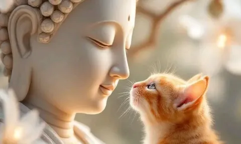  Có Phật dẫn lối, 3 con giáp càng bình tĩnh càng sáng suốt, không tranh giành vẫn gặp vận may lớn