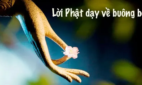 Để để tâm hồn thanh thản, an yên, hãy buông bỏ 10 điều cố chấp trong đời