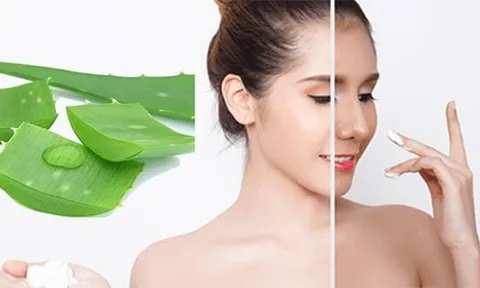 Nha đam và các cách kết hợp hỗ trợ giảm mụn, phục hồi da đúng cách