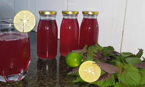 5 lý do bạn nên uống nước tía tô mỗi ngày