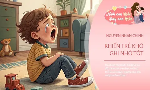 Nhiều trẻ trở nên "não yếu", chuyên gia chỉ ra 3 nguyên nhân, điện thoại chưa phải điều đáng lo nhất