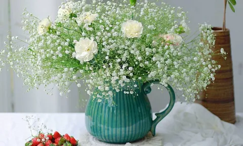 Trắc nghiệm tâm lý: Điều gì trong bạn đang âm thầm nở hoa?