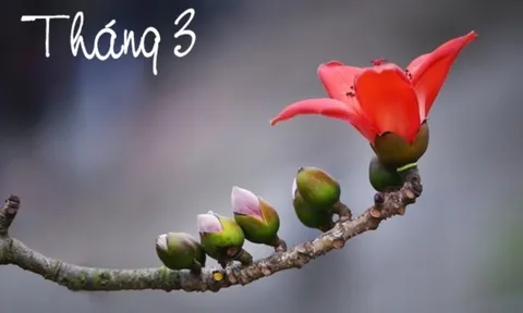 Tháng Ba có gì đặc biệt, số 3 may mắn hay xui xẻo? Bạn thấy số 3 trong đời sống mình thế nào?