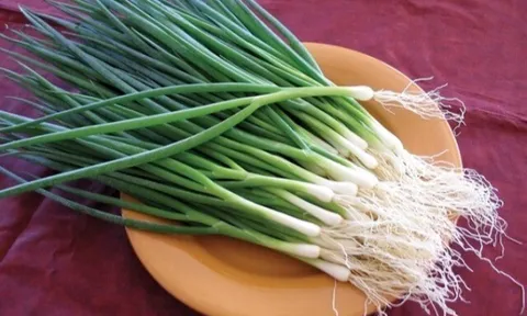 Hành lá mua nhiều ăn không hết, nhúng vào nước này rồi cất để vài tháng đến nửa năm vẫn tươi ngon