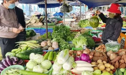 Đi chợ mùa này nên tránh 3 loại rau dễ “ngậm” nhiều thuốc trừ sâu, ký sinh trùng