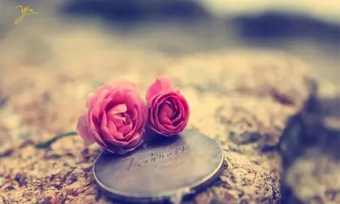 Bạn nghĩ điều gì là quan trọng nhất trong cuộc sống? Tiền bạc, tình yêu hay cuộc sống?