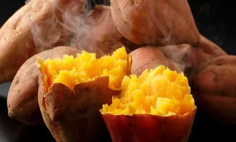 4 căn bệnh mãn tính này ăn khoai lang vào sẽ có thể cải thiện đáng kể