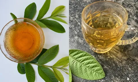 Cách uống nước lá ổi giảm mỡ bụng, giúp eo thon, giảm cân nhanh