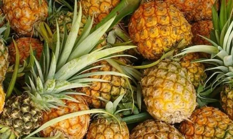 Loại trái cây rẻ bèo ngoài chợ lại ít thuốc trừ sâu nhất: Ăn ngon, bổ dưỡng nhiều người chưa biết