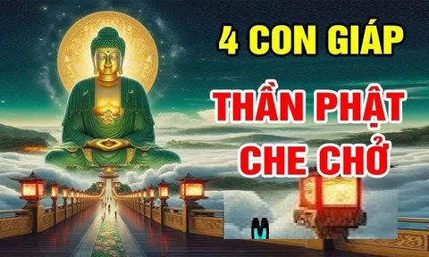 Bóng Phật chở che: 4 tuổi Phước lành tự tìm đến, nạn tự đi qua