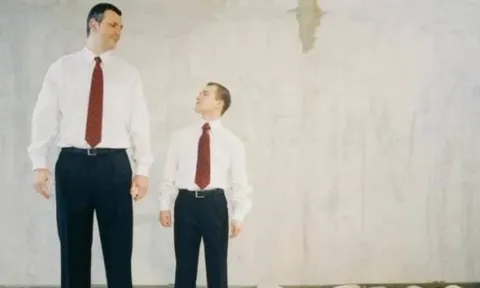 Người cao và người thấp, ai sống thọ hơn? Sự thật từ các nghiên cứu khoa học