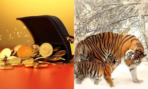 Vượt Tam Tai, 3 năm tới (2026-2029): 4 con giáp giàu nhanh hơn giá vàng tăng, tiền đếm không xuể