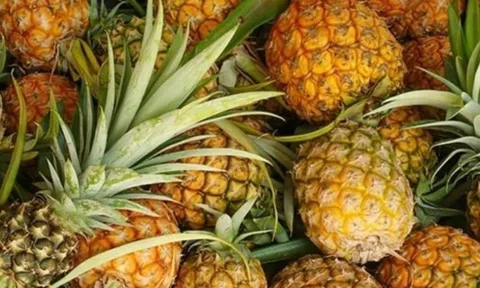 Đây là loại trái cây ít thuốc trừ sâu nhất chợ, giá rẻ nhưng cực tốt cho sức khỏe