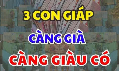 Thêm Tuổi Thêm Tiền: 3 con giáp số hưởng về già, đời càng viên mãn