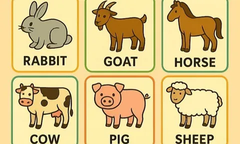 Những bức tranh flashcard dạy bé nhận biết các loài động vật bằng Tiếng Anh, học đơn giản nhưng nhớ lâu