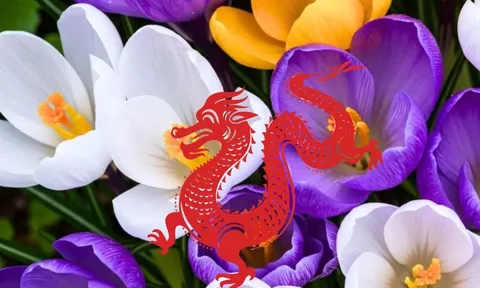 3 con giáp “hữu xạ tự nhiên hương”: Càng âm thầm làm việc, danh tiếng càng lan xa