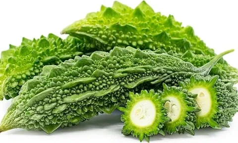 Thường xuyên ăn mướp đắng giúp hạ đường huyết và ngăn ngừa bệnh tiểu