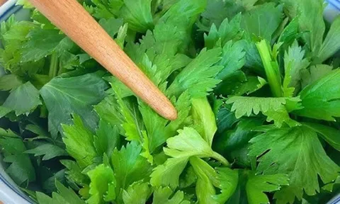 Loại rau toàn thân là báu vật, nhiều người hay vứt lá thật lãng phí, tăng cường miễn dịch, đem xào trứng cực ngon