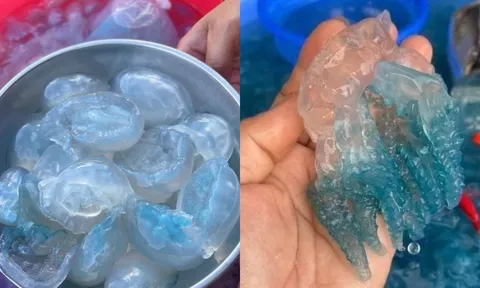 Một đặc sản Huế bỗng “gây sốt” mỗi dịp đầu năm: Màu xanh trong veo lạ mắt, ai từng ăn đều nhớ