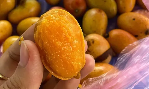 Loại quả xưa chín rụng đầy gốc nay thành đặc sản có hương vị gây "nghiện", 65.000 đồng/kg chị em thành phố thích mê