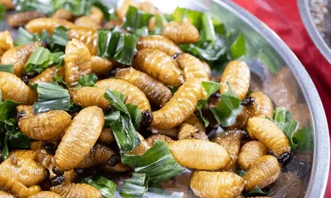 Đặc sản "kinh dị" miền Tây cực béo ngậy được nghiên cứu "đưa vào vũ trụ", giá triệu đồng/đĩa vẫn có người tranh mua